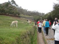 200_Tempelanlage Tambomachay &ndash; &copy; Johanna Schilling (Eberhardt TRAVEL)