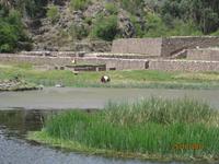 162_Auf dem Weg nach Cuzco - Besuch der Tempelanlage Raqchi &ndash; &copy; Johanna Schilling (Eberhardt TRAVEL)