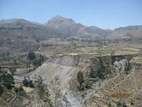 121_Das Colca Tal &ndash; &copy; Johanna Schilling (Eberhardt TRAVEL)