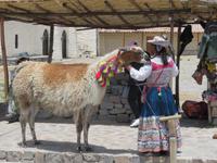 Kuschelzeit &ndash; &copy; Rico Manns (Eberhardt TRAVEL)
