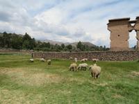 Raqchi Rasenmäher &ndash; &copy; Rico Manns (Eberhardt TRAVEL)
