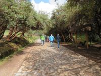 Tambomachay &ndash; &copy; Rico Manns (Eberhardt TRAVEL)