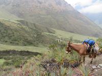 Wanderung Humantay See &ndash; &copy; Rico Manns (Eberhardt TRAVEL)
