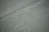 Nazca: Die Spinne &ndash; &copy; Andreas Böcker (Eberhardt TRAVEL)