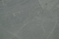Nazca: Der Kondor &ndash; &copy; Andreas Böcker (Eberhardt TRAVEL)