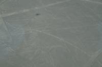 Nazca: Der Kondor &ndash; &copy; Andreas Böcker (Eberhardt TRAVEL)