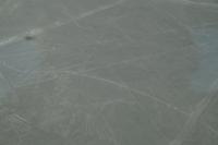 Nazca: Der Kondor &ndash; &copy; Andreas Böcker (Eberhardt TRAVEL)