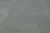 Nazca: Der Kondor &ndash; &copy; Andreas Böcker (Eberhardt TRAVEL)