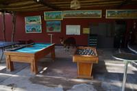 Alpaca will Billiard spielen &ndash; &copy; Andreas Böcker (Eberhardt TRAVEL)