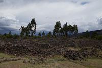 Raqchi &ndash; &copy; Andreas Böcker (Eberhardt TRAVEL)
