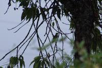 Kolibri &ndash; &copy; Andreas Böcker (Eberhardt TRAVEL)