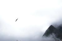 Schwalbe &ndash; &copy; Andreas Böcker (Eberhardt TRAVEL)