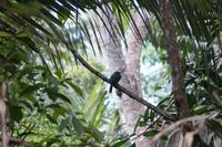 Kolibri &ndash; &copy; Andreas Böcker (Eberhardt TRAVEL)