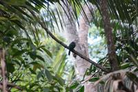 Kolibri &ndash; &copy; Andreas Böcker (Eberhardt TRAVEL)