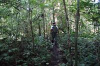 Im Wald &ndash; &copy; Andreas Böcker (Eberhardt TRAVEL)