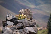 Raqchi &ndash; &copy; Andreas Böcker (Eberhardt TRAVEL)