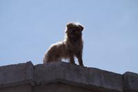 Arequipa &ndash; &copy; Juliane Schwarze (Eberhardt TRAVEL)