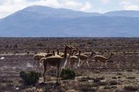 Fahrt nach Puno &ndash; &copy; Juliane Schwarze (Eberhardt TRAVEL)