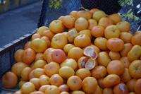Markt in Puno &ndash; &copy; Juliane Schwarze (Eberhardt TRAVEL)