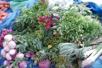 Markt in Puno &ndash; &copy; Juliane Schwarze (Eberhardt TRAVEL)