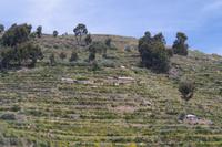 Taquile Insel &ndash; &copy; Juliane Schwarze (Eberhardt TRAVEL)
