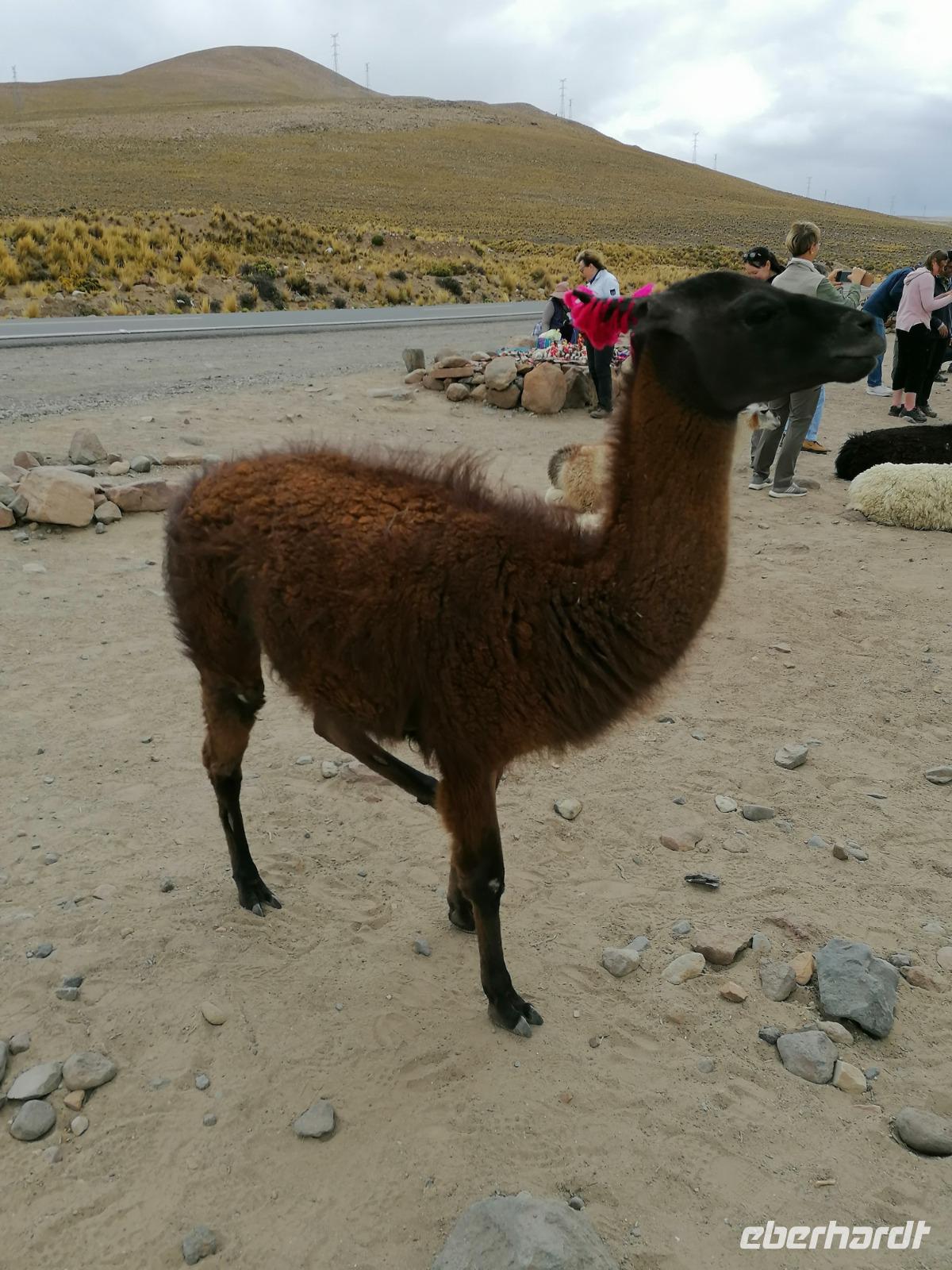 Tojra &ndash; &copy; Philip Seidel (Eberhardt TRAVEL)