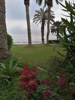 Paracas &ndash; &copy; Philip Seidel (Eberhardt TRAVEL)