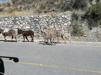 Colca Tal &ndash; &copy; Philip Seidel (Eberhardt TRAVEL)