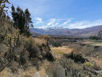 Colca Tal &ndash; &copy; Philip Seidel (Eberhardt TRAVEL)