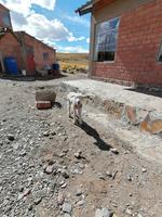 Mirador Lagunillas &ndash; &copy; Philip Seidel (Eberhardt TRAVEL)