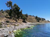 Insel Suasi &ndash; &copy; Philip Seidel (Eberhardt TRAVEL)
