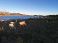 Insel Suasi &ndash; &copy; Philip Seidel (Eberhardt TRAVEL)