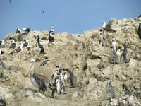 Bunte Mischung &ndash; &copy; Julia Grunwald (Eberhardt TRAVEL)