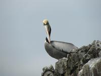 Kuckuck! &ndash; &copy; Julia Grunwald (Eberhardt TRAVEL)