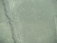 Die Spinne &ndash; &copy; Julia Grunwald (Eberhardt TRAVEL)