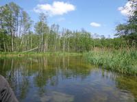 Die Krutynna, der längste Fluß Masurens mit 99 km, Natur pur &ndash; &copy; Karl-Heinz Meinig (Eberhardt TRAVEL)