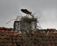 IMG 5246 &ndash; &copy; Reinhard Kappes (Eberhardt TRAVEL)