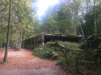 Wolfsschanze &ndash; &copy; Mathias Schirmer (Eberhardt TRAVEL)