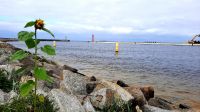 066 - Hafen von Mrzezyno &ndash; &copy; Vivien Fiedler (Eberhardt TRAVEL)