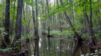089 - Radweg bis Studnica &ndash; &copy; Vivien Fiedler (Eberhardt TRAVEL)