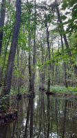 090 - Radweg bis Studnica &ndash; &copy; Vivien Fiedler (Eberhardt TRAVEL)