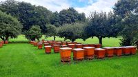 128 - Imker Dygowo &ndash; &copy; Vivien Fiedler (Eberhardt TRAVEL)