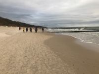 Strandspaziergang &ndash; &copy; Vicky Kern (Eberhardt TRAVEL)