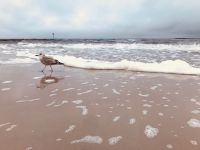 Meerliebe &ndash; &copy; Vicky Kern (Eberhardt TRAVEL)