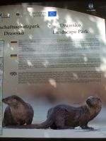 Landschaftsschutzpark &ndash; &copy; Ulrike Blenke (Eberhardt TRAVEL)