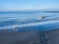 Strandspaziergang &ndash; &copy; Vicky Kern (Eberhardt TRAVEL)