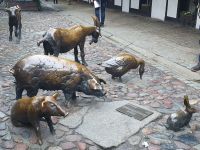 Altstadt Breslau, Schlachtbänke &ndash; &copy; Anna Jeske (Eberhardt TRAVEL)