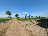 Panoramablick vom Lapidarium in Bardy &ndash; &copy; Marcus Richter (Eberhardt TRAVEL)