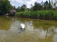Staakenbootfahrt auf der KRUTINNEN (8) &ndash; &copy; Steffi Lambrecht (Eberhardt TRAVEL)