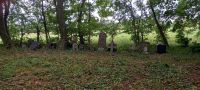 Waldfriedhof/Lapidarium bei Kolberg &ndash; &copy; Georg Berger (Eberhardt TRAVEL)